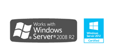 We work with Microsoft Server