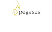 We work with Pegasus